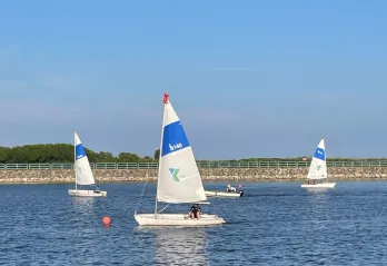 Sailboats