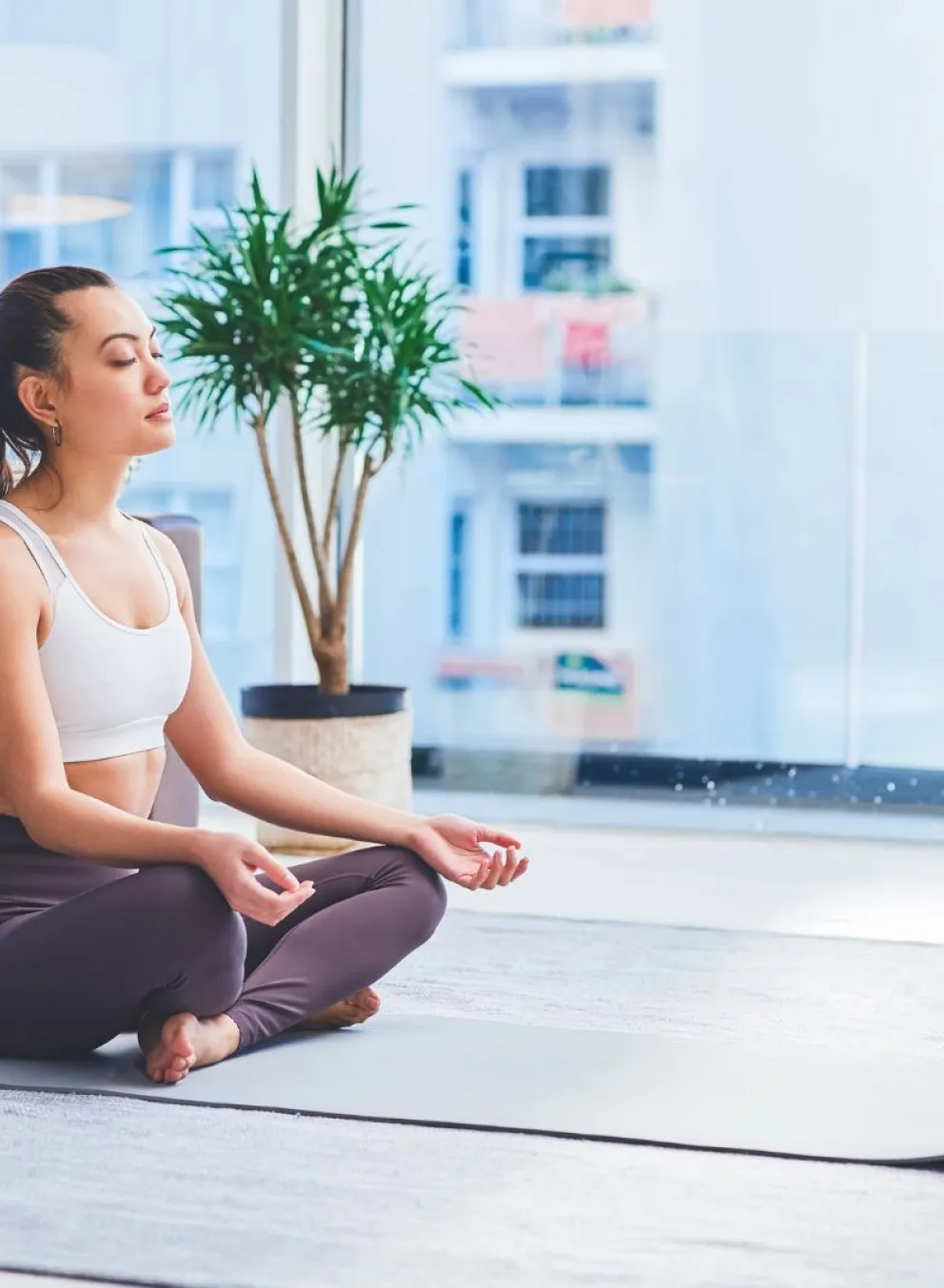 Meditation