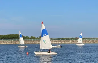 Sailboats